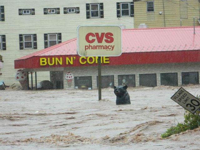 Hurricane Irene Destruction in America